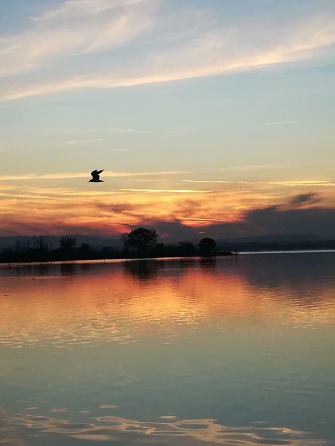 Trasimeno *